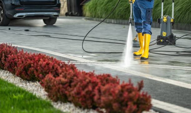 Best Roof Washing  in Grant, MI